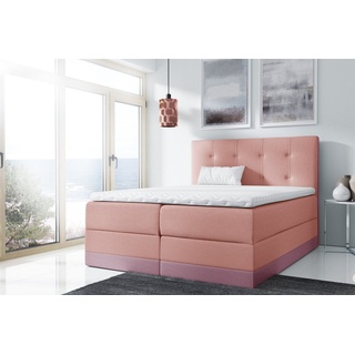 Fun Möbel Boxspringbett »Boxspringbett Schlafzimmerbett BALEA in Stoff inkl. Bettkästen« (inkl. Kaltschaumtopper), Zweifarbig lila|rosa