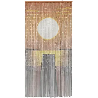 vidaXL Insektentürvorhang 200 x 100 cm Mehrfarbig