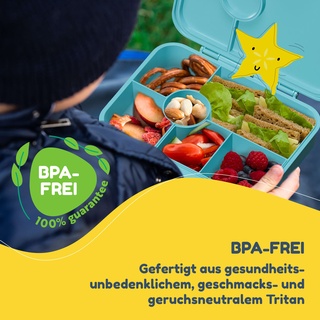 schmatzfatz by Klarstein Lite Lunchbox 6 Fächer 20,8x4,5x15 cm BPA-frei Tritan