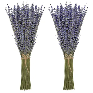 Timoo Getrocknete Lavendel-Bündel, 100% natürlich getrocknete Lavendelblüten für Heimdekoration, Foto-Requisiten, Raumduft, 2 Bündel