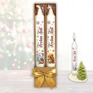2er Set Weihnachtskerzen – Frohes Fest Katze und Eichhörnchen - in Geschenkverpackung mit Schleife | Sprüche auf Spitzkerzen Stabkerzen Kerzen mit Tattoofolie im Geschenkset