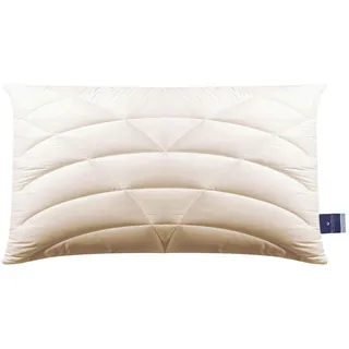 billerbeck 2461000001 Kissen 120 Climatraum, circa 40 x 80 cm,