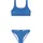 Rose Triangle Gladio Blue 116