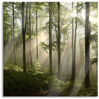 Pixxprint Glasbild Sonnenstrahlen im Wald, Sonnenstrahlen im Wald (1 St), Glasbild aus Echtglas, inkl. Aufhängungen und Abstandshalter beige|bunt 60 cm x 60 cm