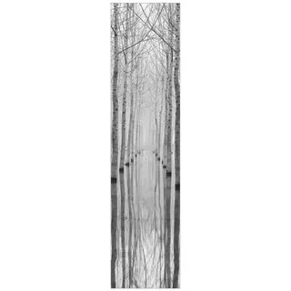 Bilderdepot24 Schiebegardine modern Flächenvorhang blickdicht Birken im November (1 St), halbtransparent, Wohnzimmer große Flächengardine lichtdurchlässig als Klemm-System schwarz 60 cm x 250 cm