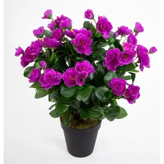 Kunstblume Azalee 40cm im Topf ZF Kunstpflanzen Kunstblumen künstliche Pflanzen Blumen, Seidenblumen Roß, Höhe 40 cm, Purple lila