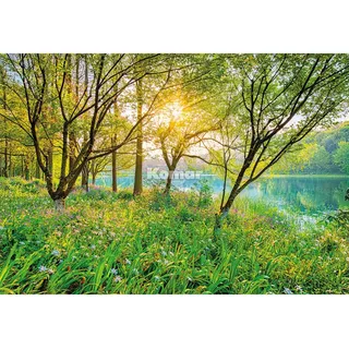 KOMAR Fototapete Spring Lake 368 x 254 cm