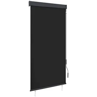 Rollo Außenrollo Handkurbel 80x250 cm Anthrazit, furnicato schwarz 80 cm x 250 cm