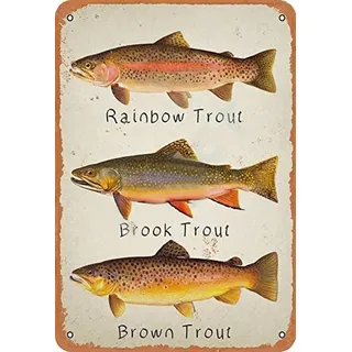 Metallschild Regenbogen Forelle Brook Forelle Braun Forelle Retro Metall Blechschild Vintage Aluminium Schild für Zuhause Kaffee Wanddekoration 20,3 x 30,5 cm