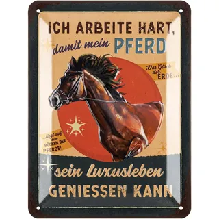 LANOLU Retro Blechschild Pferde Schild - Geschenke für Pferdeliebhaber und Reiter - Boxenschilder mit Spruch, Bauernhof Dekoration und Farm Dekor - vintage Metallschild 15x20cm
