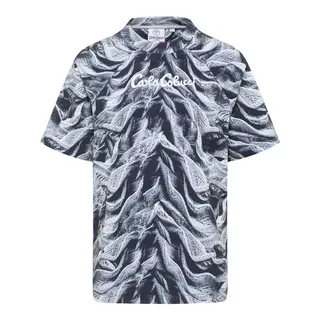 Carlo Colucci T-Shirt Dorn navy / weiß L