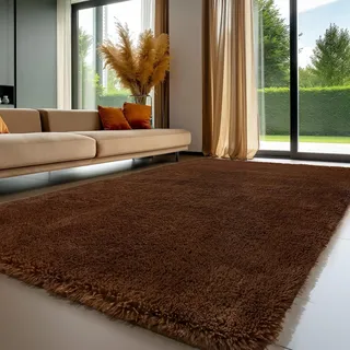Sour Lemon Hochflor Teppich Braun Teppich Wohnzimmer 160x230 Waschbar Anti-Rutsch Extra Große Teppiche Schlafzimmer Flauschige Moderne Teppiche Matte Teppichen für Schlafzimmer Kinderzimmer