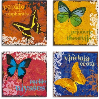 Leinwandbild ARTLAND "Schmetterlinge Bunt" Bilder Gr. B/H: 20 cm x 20 cm, Leinwandbild, bunt Bild Leinwandbild Bilder 4er Set, verschiedene Größen