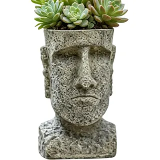 Blumentöpfe Mit Menschlichem Gesicht Blumentopf Figurative