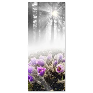 Pixxprint Glasbild Panorama, Wandbild aus Echtglas, blühende Blumen im Wald, 120x50 cm, inkl. Aufhängung und Abstandshalter