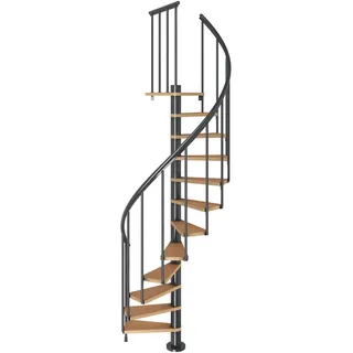 DOLLE Spindeltreppe Calgary 244,8-280,8 cm Holz/Metall