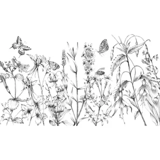 KOMAR Vliestapete Butterfly Field 400 x 250 cm