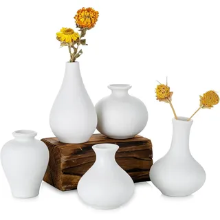 HIBNOPN Dekovase Kleine Weiß Keramik Vasen 5er-Set, Mini Handmade Keramikvasen für Deko (5 St)