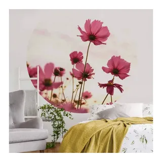K&L Wall Art Fototapete Fototapete Blumen Pinke Kosmeen Vliestapete Rund Wohnzimmer Tapete, Schmuckkörbchen Tapete rosa 1.88 m x 1.88 m