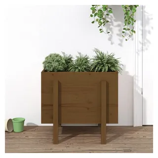 furnicato Hochbeet 62 x 50 x 57 cm Honigbraun