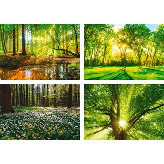 Poster ARTLAND "Wald Bach Frühling Windrosen Sonne Baum", grün (farbe bild(er): grün), B:42cm H:29,7cm, Bilder, Poster, Bilder Set, 4tlg., ohne Rahmen