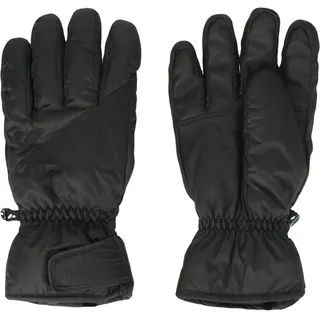 Zanier Matrei GTX Skihandschuhe Schwarz 8