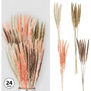 24x Pampasgras 4 Farben Dekogras H65-75 cm Trockenblume Wedel Kunstgras - Weiß/Rosa