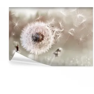 decomonkey Premium Fototapete Pusteblume Natur, 250x175 cm, Blumen, Vlies | Löwenzahn, Pflanzen, Abstrakt, Schlafzimmer, Wohnzimmer, Tapete, Fototapeten, Tapeten, Vliestapete, Wandtapete, moderne, Wand