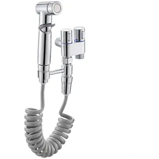 Hasaller Hand-Bidet-Sprüher Bidet-Sprüher für Toilette Hand-Bidet-Spray für Toilette mit Zubehör Toilettenstrahl Waschspray WC-Wassersprüh-Bidet-Aufsatz mit Doppelsteuerventil (Galvanik)