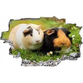 3D Look Wandtattoo 50x70 cm Wand Durchbruch Wandbild Sticker Aufkleber Wandaufkleber - Meerschweinchen Pärchen Wiese
