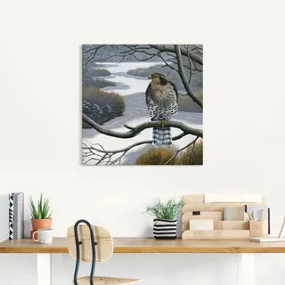 Wandbild ARTLAND "Falke im Baum" Bilder Gr. B/H: 50 cm x 50 cm, Leinwandbild Vögel quadratisch, 1 St., grau Kunstdrucke als Leinwandbild, Wandaufkleber in verschied. Größen