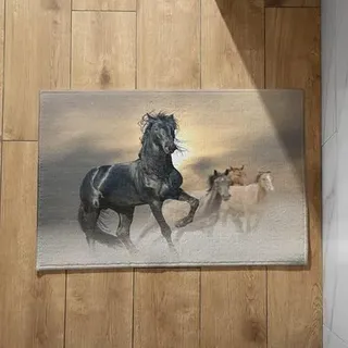 Isdreem Abtreter Fußmatte Außen Lustig Fussmatte Dusche Pferd Schmutzfangmatte Extra Dünn Sauberlaufmatte Mit Muster, 40x60cm