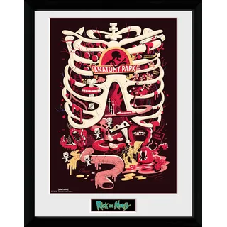 GB Eye Rick und Morty, Anatomie Park Poster, gerahmt, 30 x 40 cm, Verschiedene