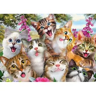 Schmidt Spiele Katzen-Selfie 500 Teile