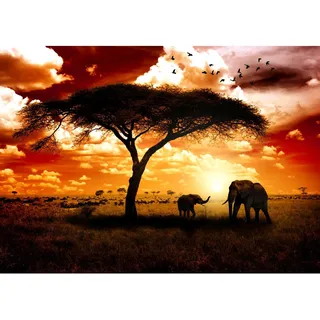 Runa Art Fototapete Afrika Elefanten 352 x 250 cm Vlies Tapeten XXL Moderne Wandtapete Wohnzimmer Schlafzimmer Braun Orange 9110011a