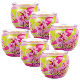 HS Candle Duftkerze Motiv 6er Pack Blütenzauber