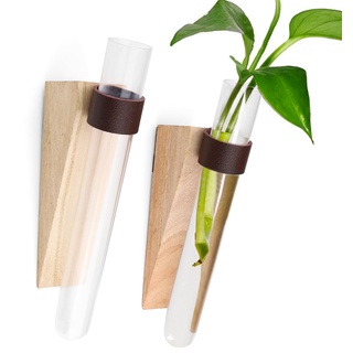 SPRHR 2 Stück Reagenzglas Vase, Propagation Station Ohne Bohren, Platzsparend und Schön, Hängender Behälter für Wasserkultur Zum Dekorieren von Zuhause, Büro, Zimmer, Flur, Fensterbank