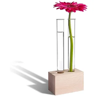 Tuuters Reagenzglas Vase aus Holz – Moderne Tischdeko, inkl. hochwertigen Reagenzgläsern (Buche 2-Loch)