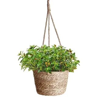 Blumentöpfe Hängende, Seegras Pflanzentopf, Hängender Pflanzerkorb, Handgewebt Blumenampel Pflanzenaufhänger mit Hängendem Seil für Sukkulenten, Kakteen, Kräuter im Innen- und Außenbereich (Seegras)