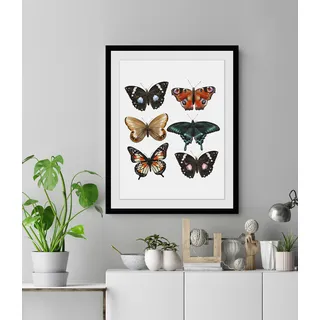 Bild QUEENCE "Jana" Bilder Gr. B/H: 40 cm x 50 cm, Wandbild Schmetterlinge Hochformat, 1 St., bunt Kunstdrucke