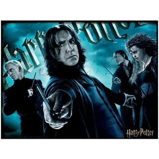 Harry Potter HP32555 3D-Effekt 500 Teile Slytherin Puzzle