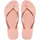 Logo ballet rose 41-42
