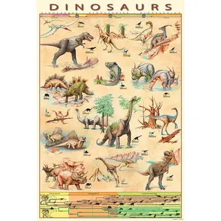 empireposter Educational - Bildung - Poster - Dinosaurs - Dinosaurier Version 5 + Ü-Poster