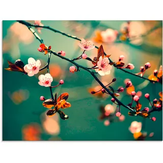 Glasbild ARTLAND "Japanische Kirsch Sakura Blumen" Bilder Gr. B/H: 60 cm x 45 cm, Blumen, 1 St., blau Glasbilder in verschiedenen Größen