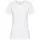 Classic T-Shirt XXL