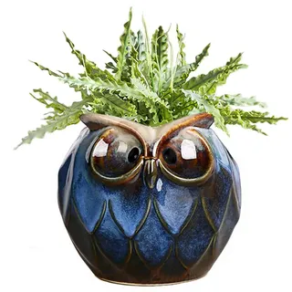 GeLive Blaue Eule Keramik Sukkulenten Pflanzgefäß mit Drainage Stopfen Tier Blumentopf Tischdekoration Vase Fensterbox Indoor Outdoor Dekor (blau)