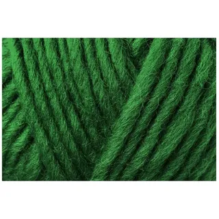 Schachenmayr Wash+Filz-It! - Farbe: Tanne (00055) - 50 g/ca. 50 m Wolle