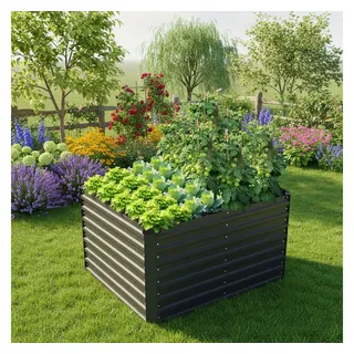 Konifera Emmy 100 x 80 x 60 cm Grau