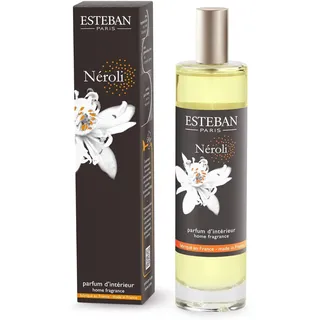 Esteban - Raumspray Duftspray – Raumduft - 75ml - Lufterfrischer Spray für Wohnung & WC, Room Spray mit Bio-Alkohol - langanhaltende Frische - Recycelbares Glas - Tea and Gingerbread