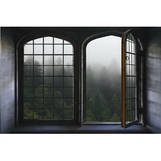 Wandsticker QUEENCE "Nebel", grün, B:60cm H:40cm, Vinyl, Wandtattoos, Wandsticker, Wandbild, selbstklebend, 3D, Fenster
